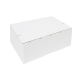 Postpakketbox IEZZY 2 200x140x80mm wit