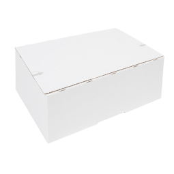 Postpakketbox IEZZY 4 305x215x110mm wit