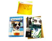 Carte de voeux Paperclip set recharge anniversaire homme 6 cartes