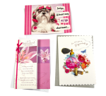 Glückwunschkarte Paperclip Set Nachfüllpack Geburtstag Frau 6 Karten