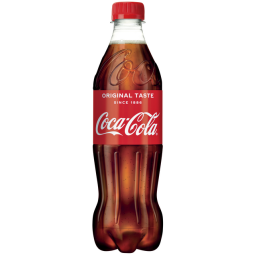 DE_COCA COLA BOUT 50CL P24