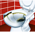 Nettoyant sanitaire HG super puissant 500ml