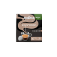 Koffiepads Lavazza espresso Classico 36 stuks