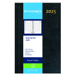 Agenda 2025 Ryam Efficiency Baladek 1 jour/1 page noir