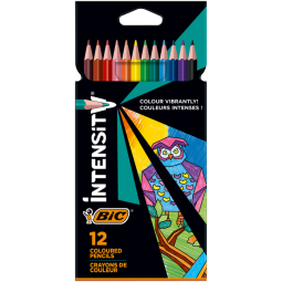 Kleurpotloden Bic Intensity assorti etui  à 12 stuks