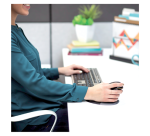 Souris ergonomique Fellowes Pingouin sans fil Large