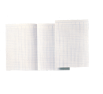 Djois Atlanta Accounting Paper double A4 14 columns 100 sheets