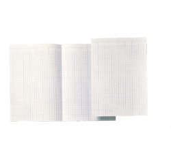Papier comptable Djois Atlanta double A4 14 colonnes 100 feuilles