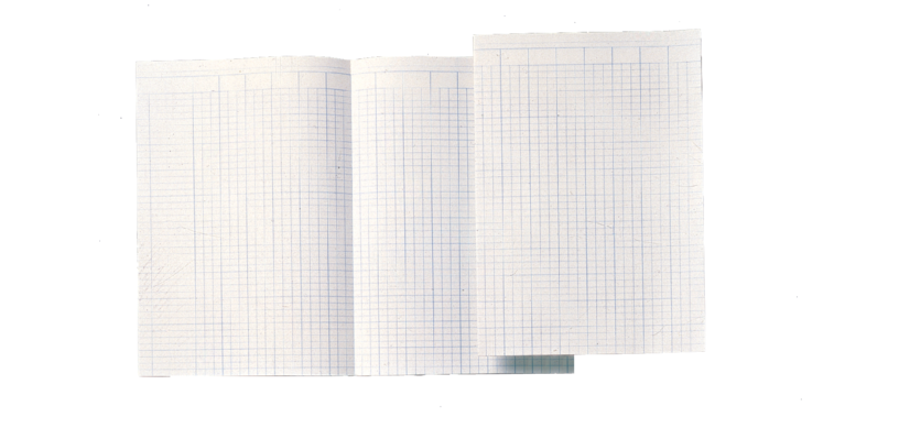 Djois Atlanta Accounting Paper double A4 14 columns 100 sheets