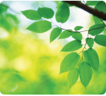 Fellowes Earth Series Mouse Pad Sheets 228x203mm