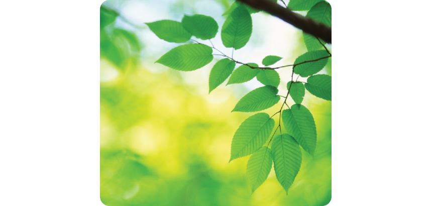 Fellowes Earth Series Mouse Pad Sheets 228x203mm