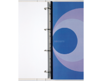 Bandes GBC Filestrip A4 10 broches 100 pièces