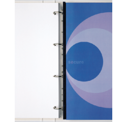Bandes GBC Filestrip A4 10 broches 100 pièces