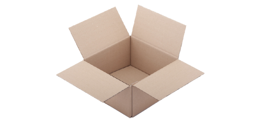 Boîte d'expédition IEZZY cannelure-B 305x220x250mm brun