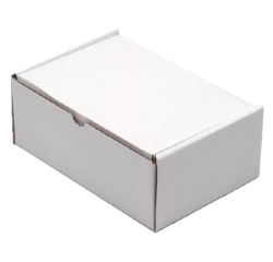 Boîte postale CleverPack carton ondulé 220x160x90mm blanc 5 pièces