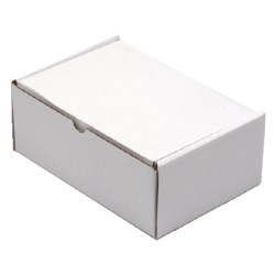 Boîte postale CleverPack cart ondulé 220x160x90mm blanc 25 pièces