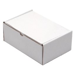 Boîte postale CleverPack carton ondulé 220x160x90mm blanc 5 pièces