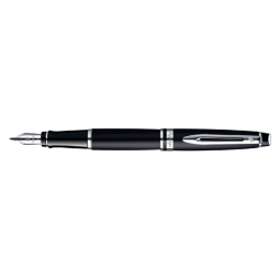 Vulpen Waterman Expert matt black CT medium