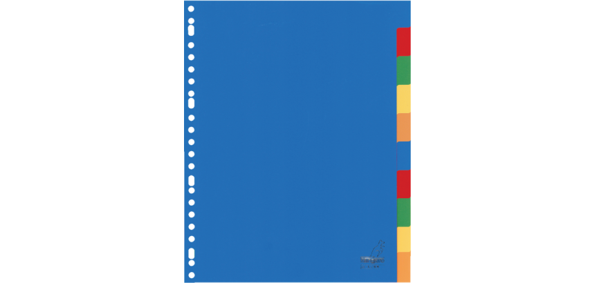 Kangaro A410M Divider A4 23 holes 10 tabs PP assorted