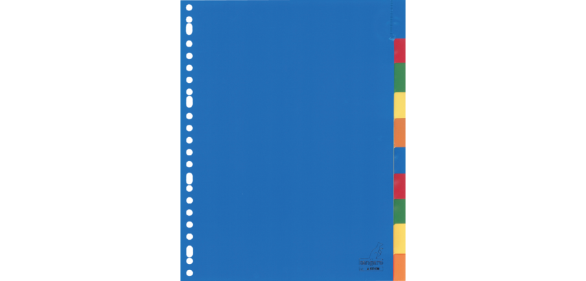 Kangaro A410FM Divider A4 23 holes 10 tabs + assorted PP window