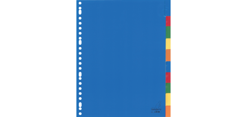 Kangaro A410FM Divider A4 23 holes 10 tabs + assorted PP window