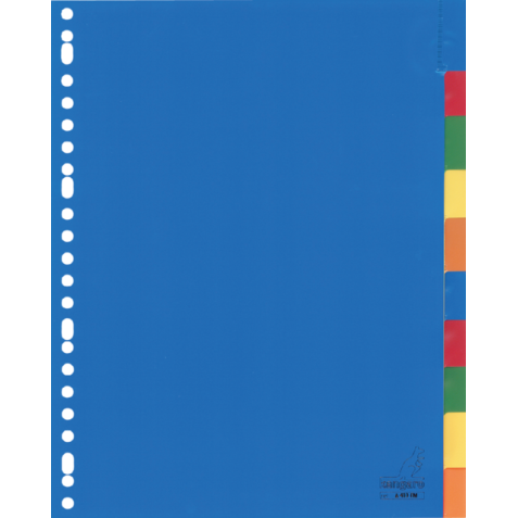 Intercalaire Kangaro A410FM A4 23 perforations 10 onglets + fenêtre PP assorti