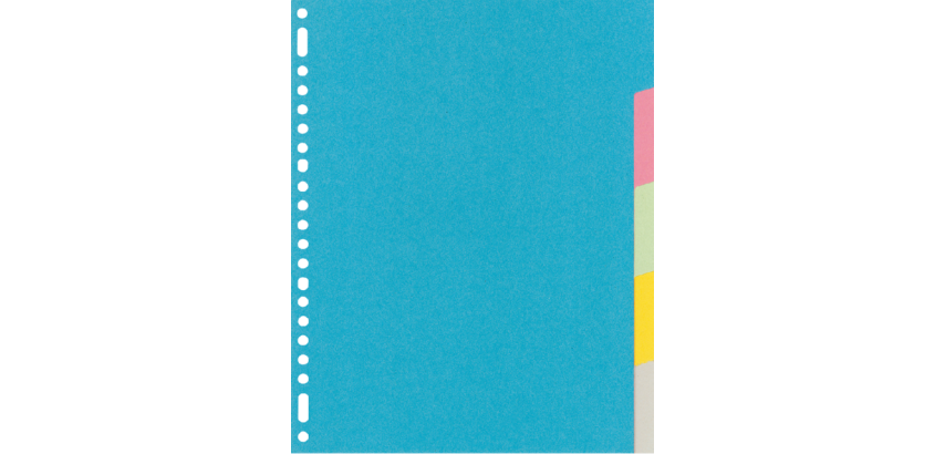 Kangaro RY405M Divider A4 23 Holes 5 Assorted Cardboard Tabs