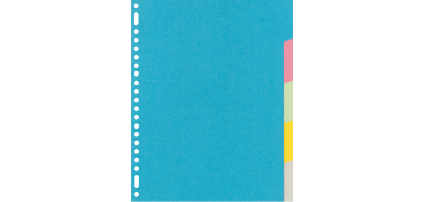 Kangaro RY405M Divider A4 23 Holes 5 Assorted Cardboard Tabs