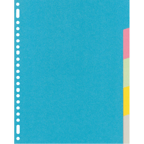 Intercalaire Kangaro RY405M A4 23 perforations 5 onglets carton assorti