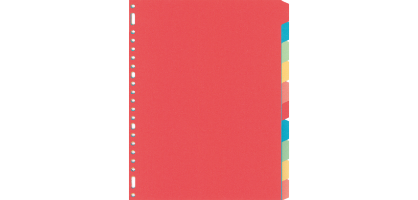Kangaro Divider PE410M A4 23 holes 10 tabs assorted cardboard