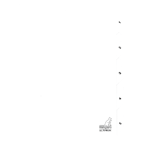 Intercalaire Kangaro PK405C A4 4 perforations numéro 1-5 carton blanc