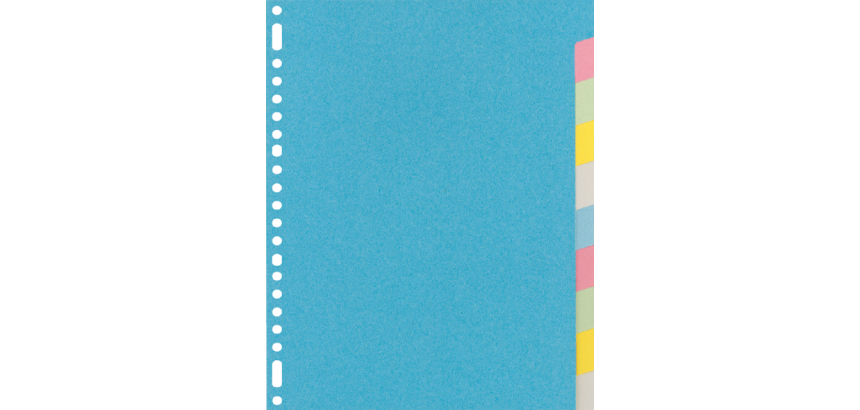 Kangaro RY410M A4 Divider 23 Holes 10 Tabs Assorted Cardboard