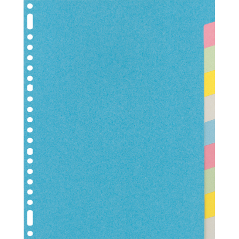 Intercalaire Kangaro RY410M A4 23 perforations 10 onglets carton assorti