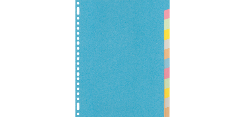 Kangaro RY412M A4 Divider, 23 holes, 12 assorted cardboard tabs