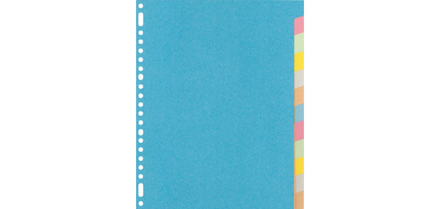 Tabbladen Kangaro 23-gaats RY412M 12-delig assorti karton