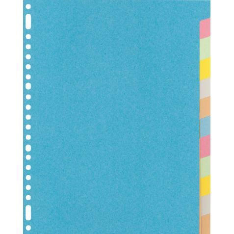 Intercalaire Kangaro RY412M A4 23 perforations 12 onglets carton assorti