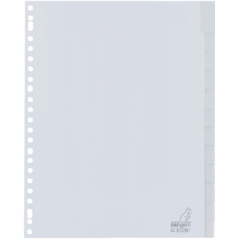 Intercalaire Kangaro G412FM A4 23 perforations 12 onglets + fenêtre PP gris