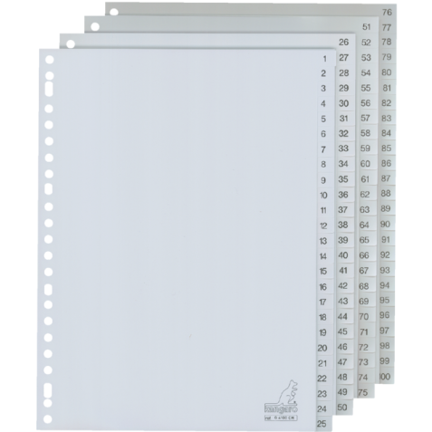 Intercalaire Kangaro G4100CM A4 23 perforations numéro 1-100 PP gris