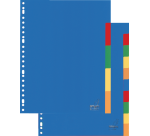 Kangaro A410M Divider A4 23 holes 10 tabs PP assorted