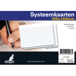 Systeemkaarten A6 105x148mm 100 stuks