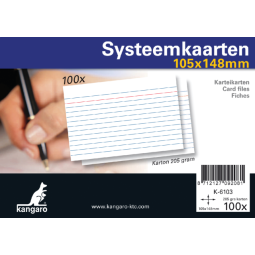 Systeemkaarten A6 105x148mm 100 stuks