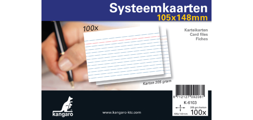 Systeemkaarten A6 105x148mm 100 stuks