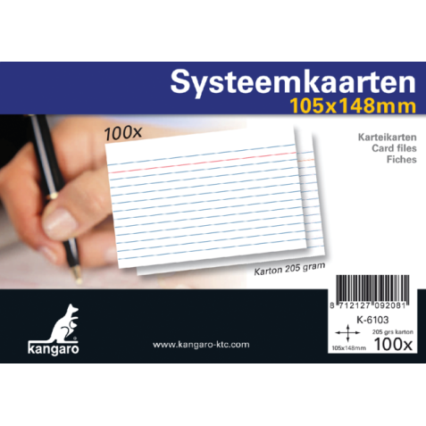 Systeemkaarten A6 105x148mm 100 stuks