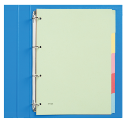 Intercalaire Qbasic 4 perforations 5 onglets carton assorti