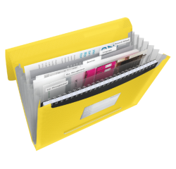 Trieur Esselte Vivida PP 6 compartiments jaune