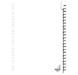 Intercalaires Kangaro 23 perf PK412JM 12 onglets mois carton