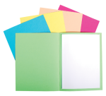 Chemise standard 170 Exacompta Forever® 24 x 32 cm gris - Paquet de 100