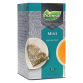 Pickwick Tea Master Selection, menthe, paquet de 25 pièces