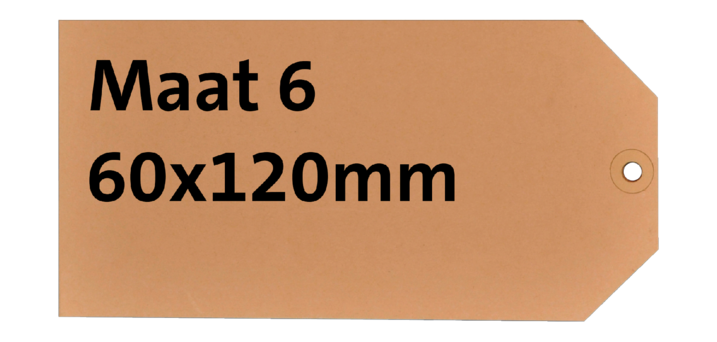 Label karton nr 6 200gr 60x120mm chamois 1000 stuks