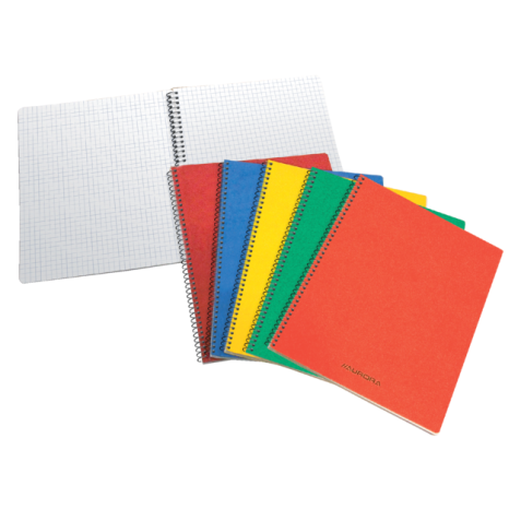 Carnet Aurora 105x160mm carreau 5x5mm 240 pages 60g assorti